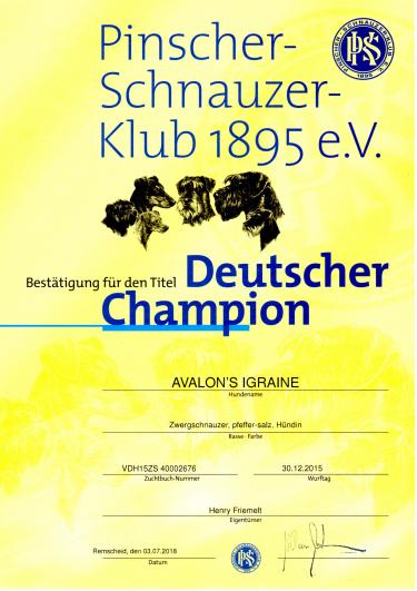 Deutscher Champion PSK