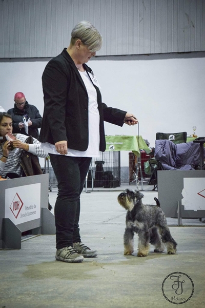 Igraine in Leipzig Herbst 2017