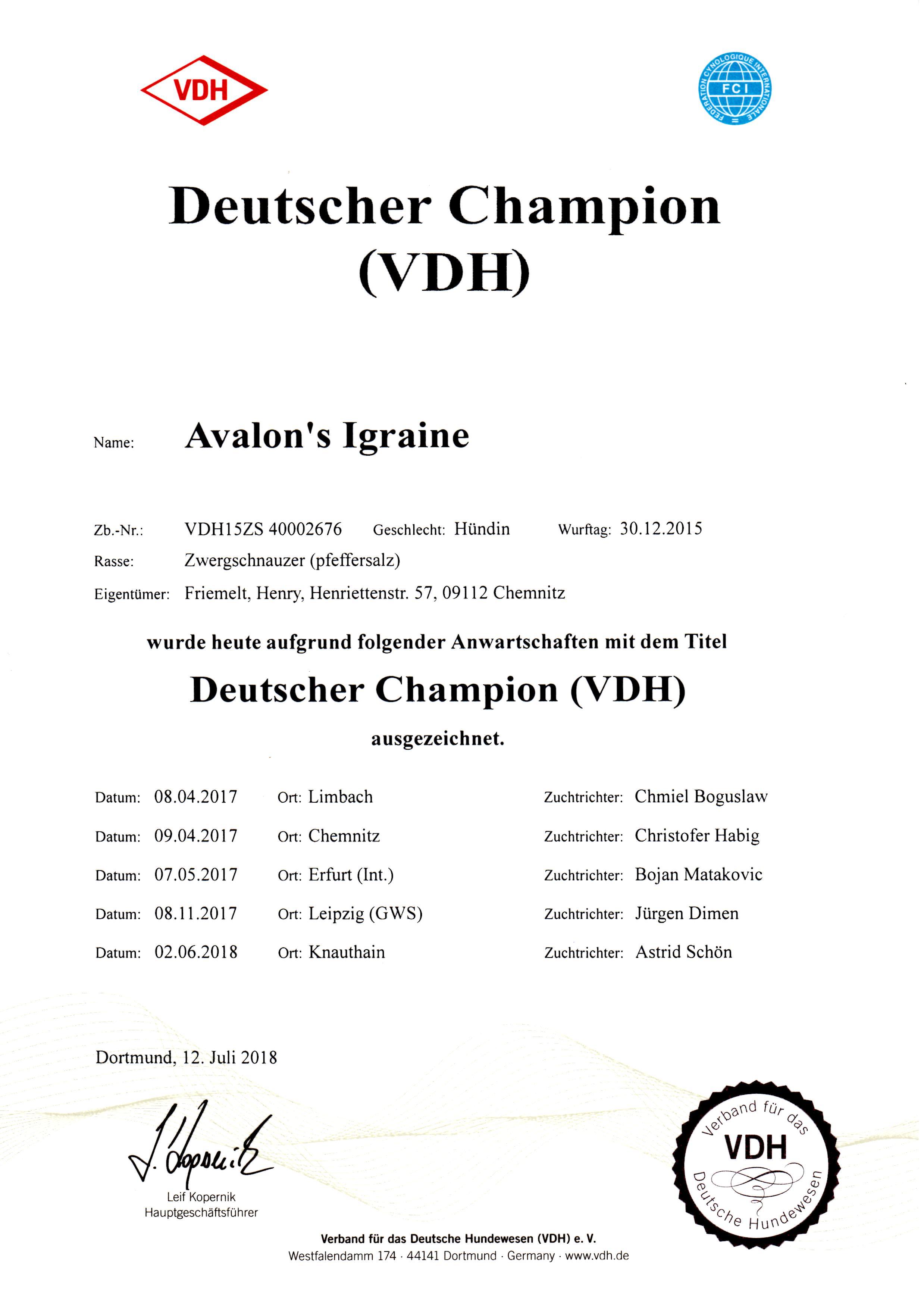 Deutscher Champion VDH