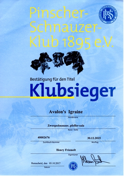 PSK-Klubsieger